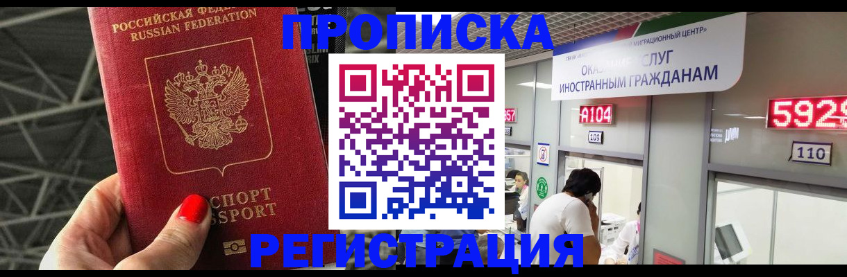 прописка гарантия в Камышине